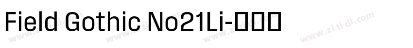 Field Gothic No21Li字体转换